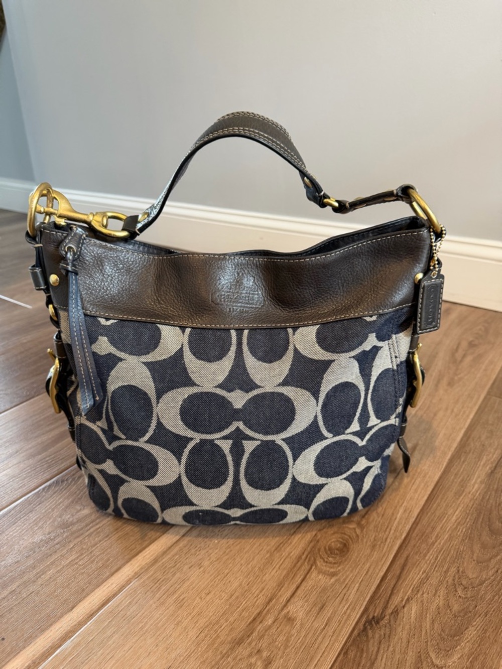 Coach Y2K Denim Zoe Hobo Shoulder Bag